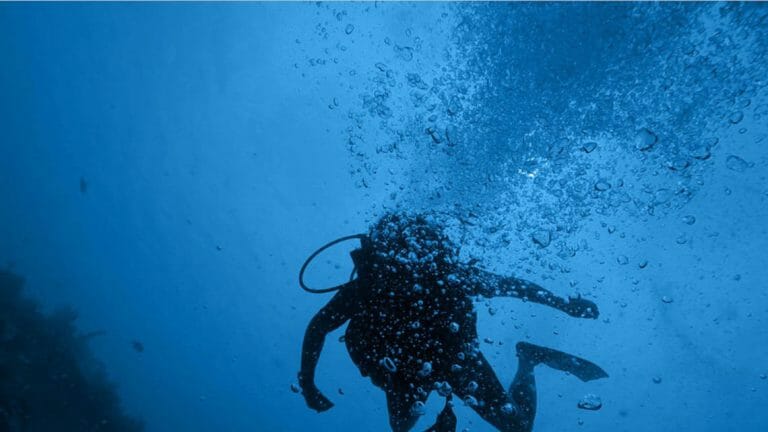 Mit der Blue Ocean-Strategie neue Märkte erobern