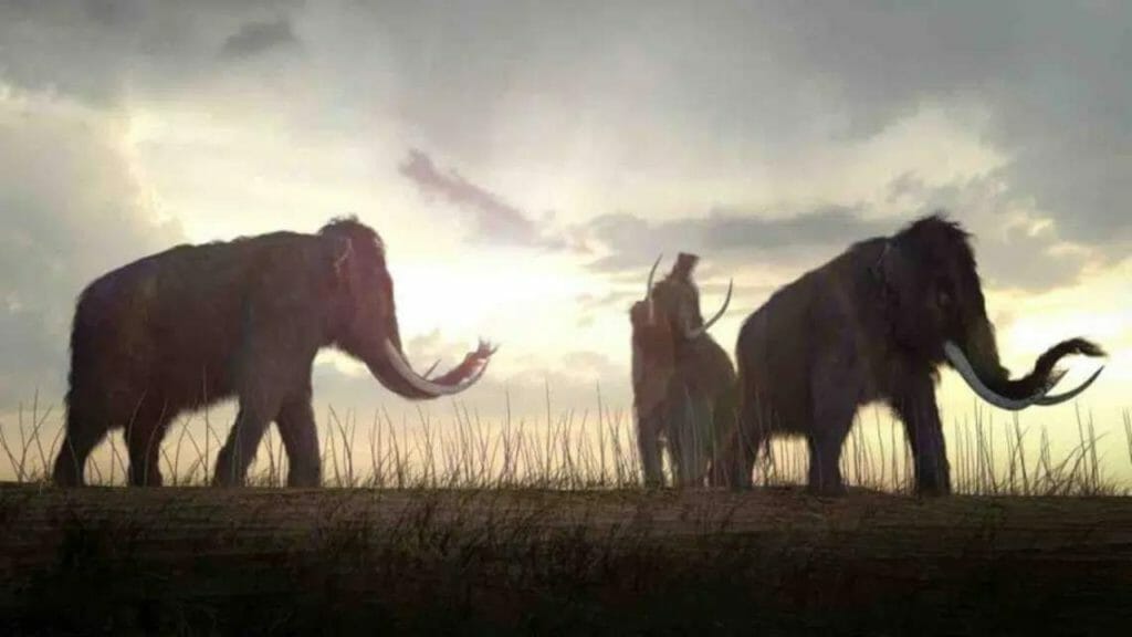 So erstellen Sie eine Präsentation ohne viel Vorbereitungszeit - 5 Tipps! 1 Gute Präsentationen mit Storytelling untermalen Präsentationszeit