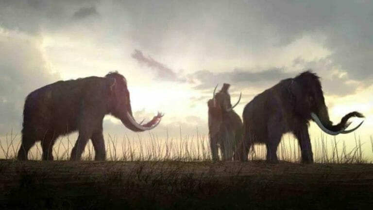 Gute Präsentationen mit Storytelling untermalen