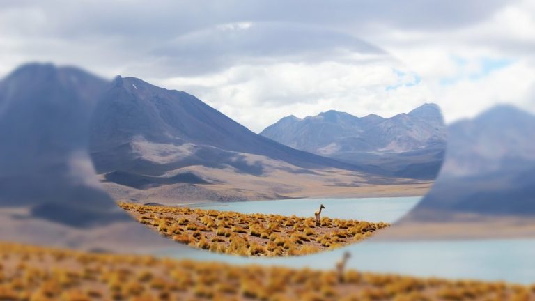 Bildbearbeitung in PowerPoint – Wissensstufe 3